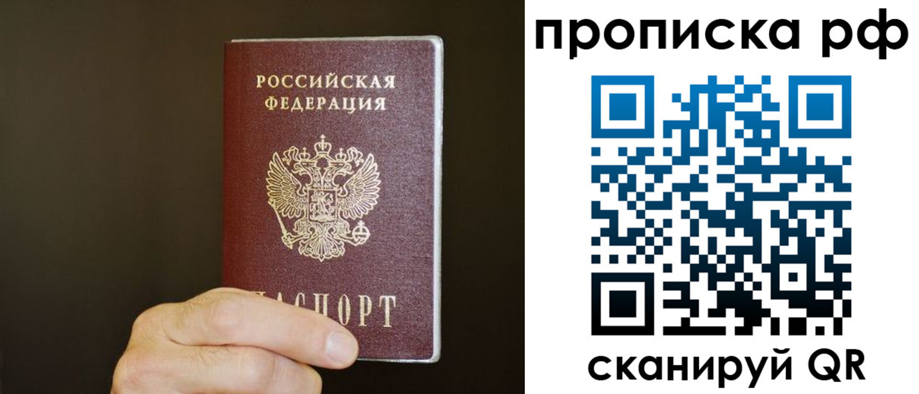прописка для школы в Электростали